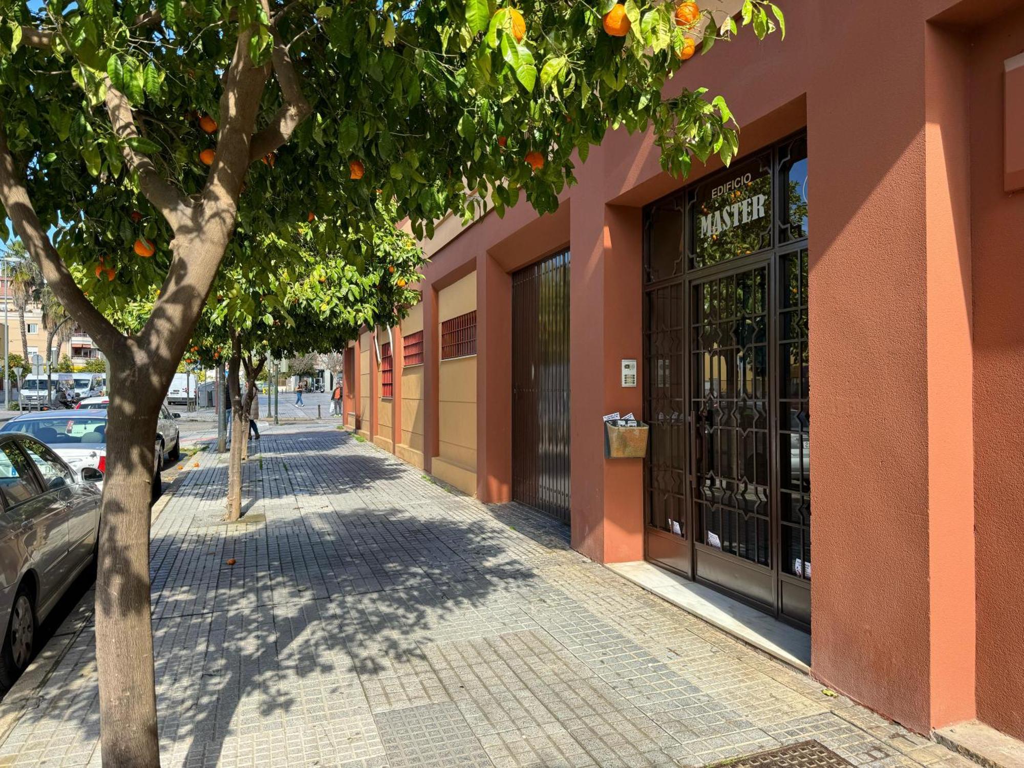 Apartamento Maria La Judia Cordoba Exterior photo